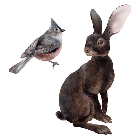 Bird, hare Watercolor. Set. For prints, printing, stickers, tags, corporate identity, web design, invitations, patterns. Attribute of winter holidays. Hand drawnの写真素材