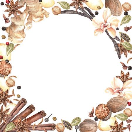 Spices. Watercolor. set. Illustration for clipart. Designed for menus, culinary blogs, packaging, textiles, web design, sites, stickers, invitations, patterns, logos. Drawn by hand.の写真素材