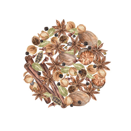 Spices. Watercolor. set. Illustration for clipart. Designed for menus, culinary blogs, packaging, textiles, web design, sites, stickers, invitations, patterns, logos. Drawn by hand.の写真素材