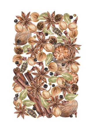 Spices. Watercolor. set. Illustration for clipart. Designed for menus, culinary blogs, packaging, textiles, web design, sites, stickers, invitations, patterns, logos. Drawn by hand.の写真素材
