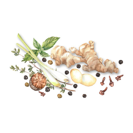 Spices. Watercolor. set. Illustration for clipart. Designed for menus, culinary blogs, packaging, textiles, web design, sites, stickers, invitations, patterns, logos. Drawn by hand.の写真素材