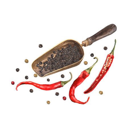 Spoon and peppercorns. Watercolor. set. Illustration for clipart. Designed for menus, culinary blogs, packaging, textiles, web design, sites, stickers, invitations, patterns, logos. Drawn by hand.の写真素材