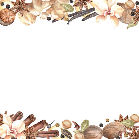 Spices. Watercolor. set. Illustration for clipart. Designed for menus, culinary blogs, packaging, textiles, web design, sites, stickers, invitations, patterns, logos. Drawn by hand.の写真素材