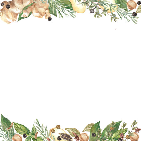 Spices. Watercolor. set. Illustration for clipart. Designed for menus, culinary blogs, packaging, textiles, web design, sites, stickers, invitations, patterns, logos. Drawn by hand.の写真素材
