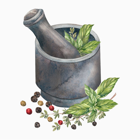 Spices. Watercolor. set. Illustration for clipart. Designed for menus, culinary blogs, packaging, textiles, web design, sites, stickers, invitations, patterns, logos. Drawn by hand.の写真素材