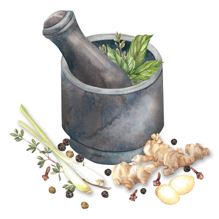 Spices. Watercolor. set. Illustration for clipart. Designed for menus, culinary blogs, packaging, textiles, web design, sites, stickers, invitations, patterns, logos. Drawn by hand.の写真素材