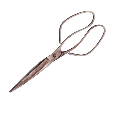 scissors. Watercolor. isolate. Illustration for clipart. Designed for menus, culinary blogs, packaging, textiles, web design, sites, stickers, invitations, patterns, logos. drawn by handの写真素材