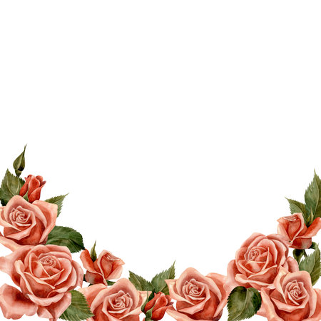 Rose. frame. Watercolor. Illustration for clipart. Designed for flower studios, holiday decoration, weddings, packaging, textiles, web design, websites, stickers, invitations, templates, logos. hand drawnの写真素材