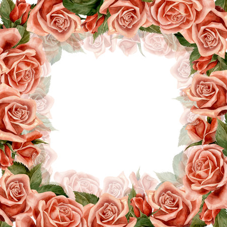 Rose. frame. Watercolor. Illustration for clipart. Designed for flower studios, holiday decoration, weddings, packaging, textiles, web design, websites, stickers, invitations, templates, logos. hand drawnの写真素材