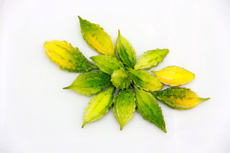 Bitter gourd on the white background