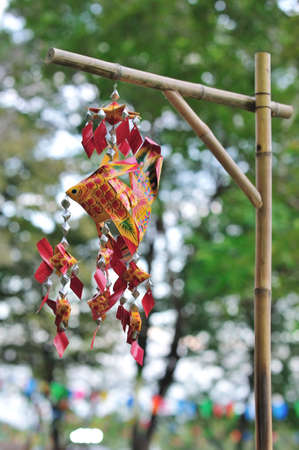 Fish Paper の写真素材