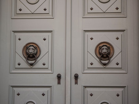 Buda Lion door handle close up