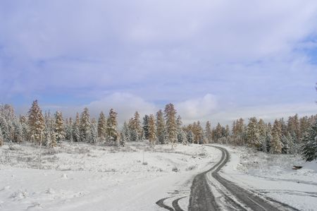 Fresh car tyre traces on the winter road.の写真素材