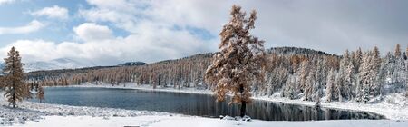 Panoramic view of winter lake and larch treeの写真素材