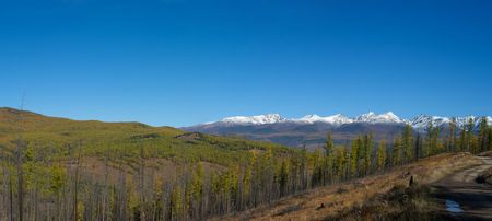 Panoramic view of snowy mountain peaks and autumnal forest valleyの写真素材