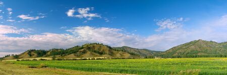 Panoramic view of beautiful green field in the Altai mountainsの写真素材