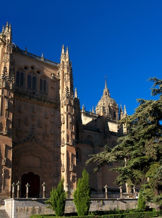 Cathedral of Salamanca, Spain.の写真素材
