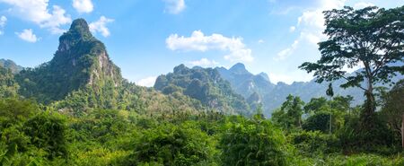 Rainforest of Khao Sok National Parkの写真素材