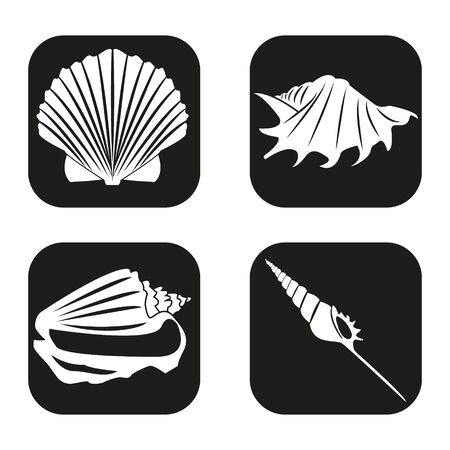 Sea shell icon in four variationsのイラスト素材