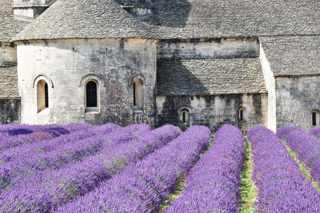 Abbaye de Senanque with lavender field in the foregroundの写真素材