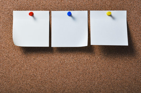 Blank papers hanging on a cork boardの写真素材