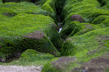 natureの写真素材