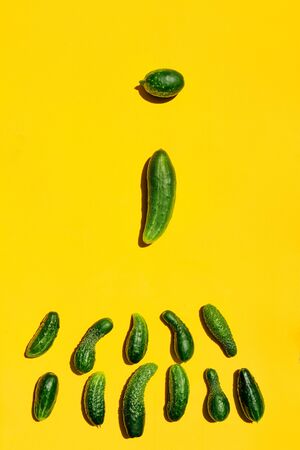 Different sizes forms cucumbers pattern on a yellow background symbolizes the process of fertilization of the ovum by the sperm. Top view. Sperm texture wallpaper. Sperm ovum fertilization concept.の写真素材