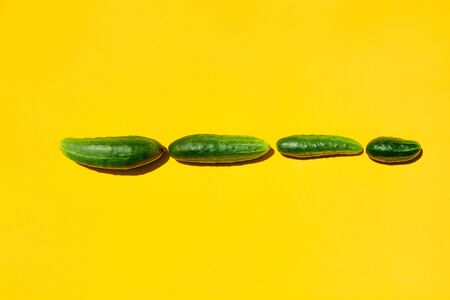 Different sizes forms cucumbers on a yellow background form a row. The way forward to success, victory, achievement of goals, results. Top view. Concept for designers copy space.の写真素材