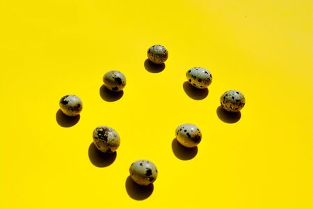 Set of group quail eggs in a row on a yellow background. Top view photo. Concept for designers for Easter with copy space. Creative layout made of quail eggs. Quail eggs background.の写真素材