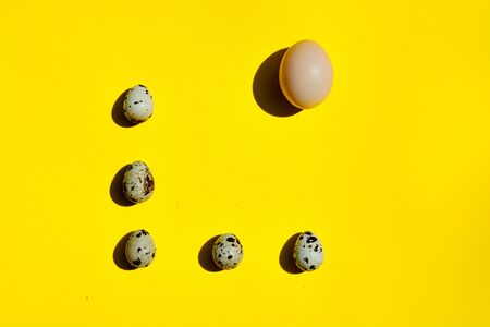 Set of big chicken egg and small quail eggs in a row on a yellow background. Top view photo. Concept for designers for Easter with copy space. Creative layout made of chicken and quail eggs.の写真素材