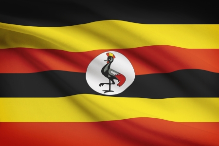 Ugandan flag blowing in the wind. Part of a series.の写真素材