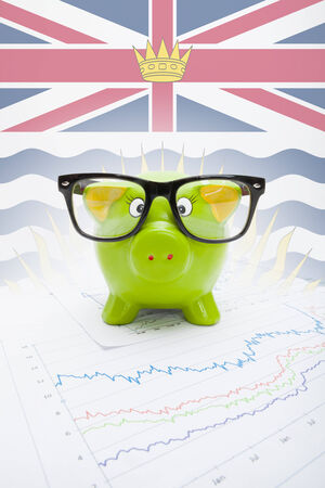 Piggy bank with Canadian province flag on background - British Columbiaの写真素材