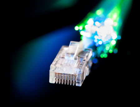 LAN and optical fiber cable in the darkness - studio shot