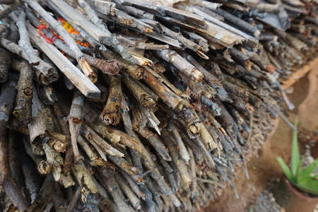 Pile of firewood in the garden, Thailand. Selective focus.の写真素材