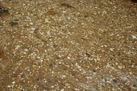 Cobbles and pebbles on the seashore.の写真素材