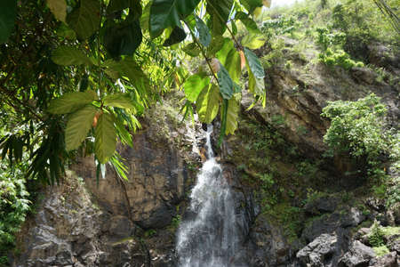 Waterfall in the jungle. Waterfall in the jungle. Waterfall in the jungle.の写真素材