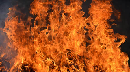 bonfire texture Fire with alphaの写真素材