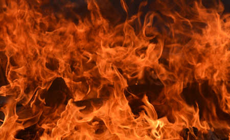 bonfire texture Fire with alphaの写真素材