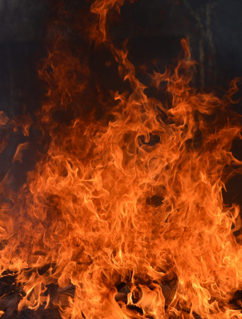 bonfire texture Fire with alpha