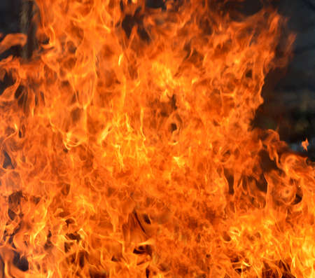bonfire texture Fire with alphaの写真素材