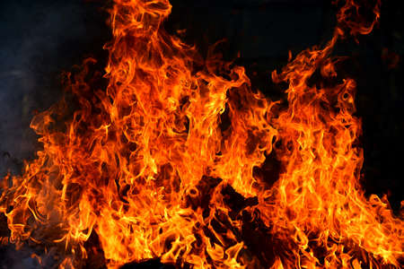 bonfire texture Fire with alphaの写真素材