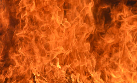 bonfire texture Fire with alphaの写真素材