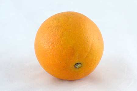 Close up kumquats, Fortunella sp, resembling oranges andの写真素材