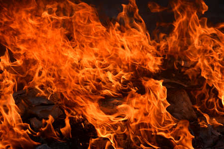 bonfire texture Fire with alphaの写真素材