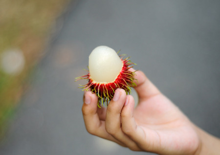 Fresh Rambutan Fruit (Nephelium lappaceum)の写真素材