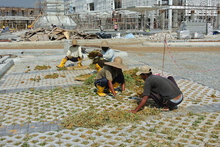 Construction workers planting grass in between grass  block at the construction site.のeditorial素材