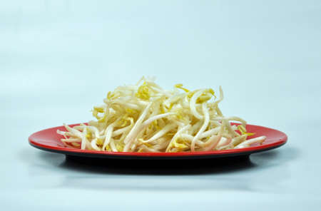 Bean sprouts in red round plate isolated on white background. Super food.の写真素材
