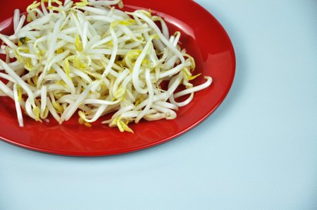 Bean sprouts in red round plate isolated on white background. Super food.の写真素材
