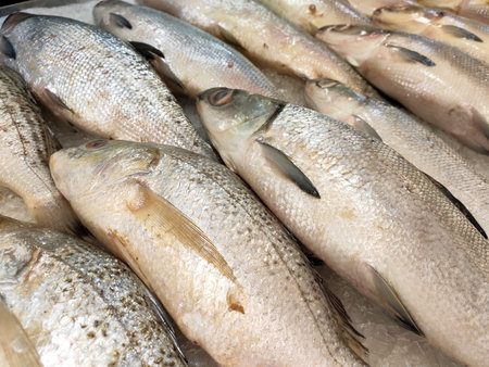 Various types of fish in  fish market are displayed for sale. Separated according to species and...