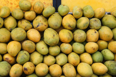 Pile of harvested ripe mangoes collected by farmers and tacked up carefully to sell to customersのeditorial素材
